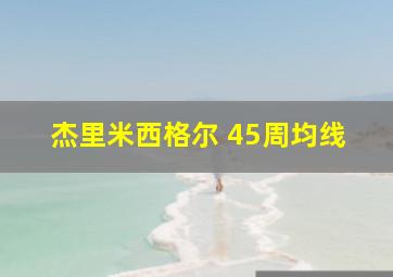 杰里米西格尔 45周均线